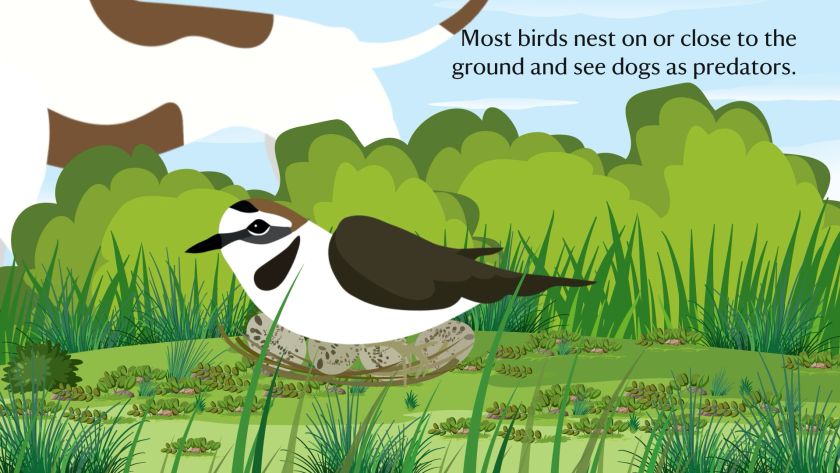 animation company exeter